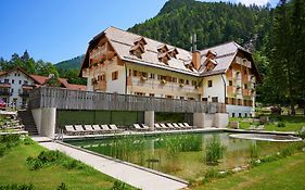Hotel Plesnik Logar Valley